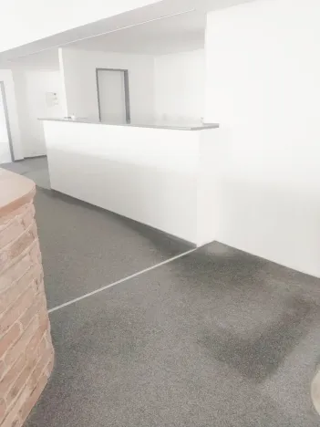 Pronájem obchodního prostoru, Brno, Palackého třída, 311 m2