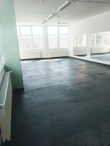 Pronájem obchodního prostoru, Brno, Palackého třída, 311 m2