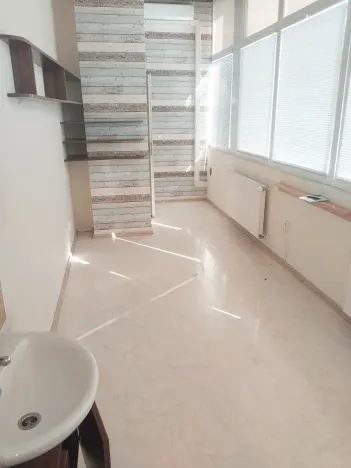 Pronájem obchodního prostoru, Brno, Palackého třída, 311 m2