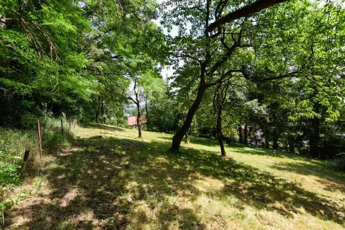 Pronájem zahrady, Stříbrná Skalice, 1015 m2