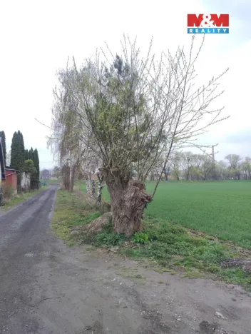 Prodej zahrady, Opava - Město, 250 m2