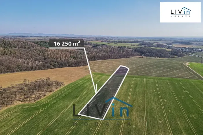 Prodej pole, Velký Týnec, 16250 m2
