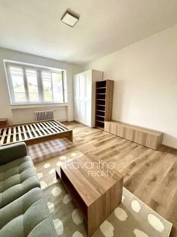 Pronájem bytu 1+1, Brno, bratří Čapků, 37 m2