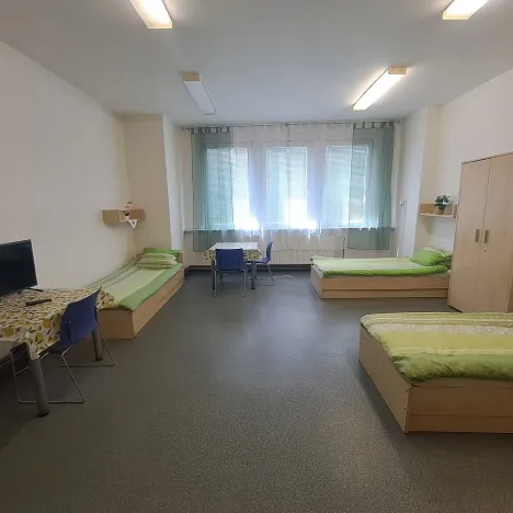Pronájem bytu 1+kk, Hranice - Hranice I-Město, Potštátská, 30 m2
