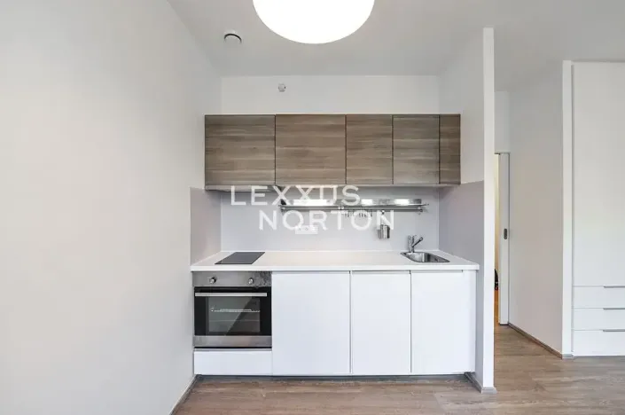 Pronájem bytu 1+kk, Praha - Vinohrady, Lucemburská, 30 m2