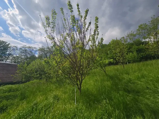 Prodej rodinného domu, Stará Ves, 300 m2