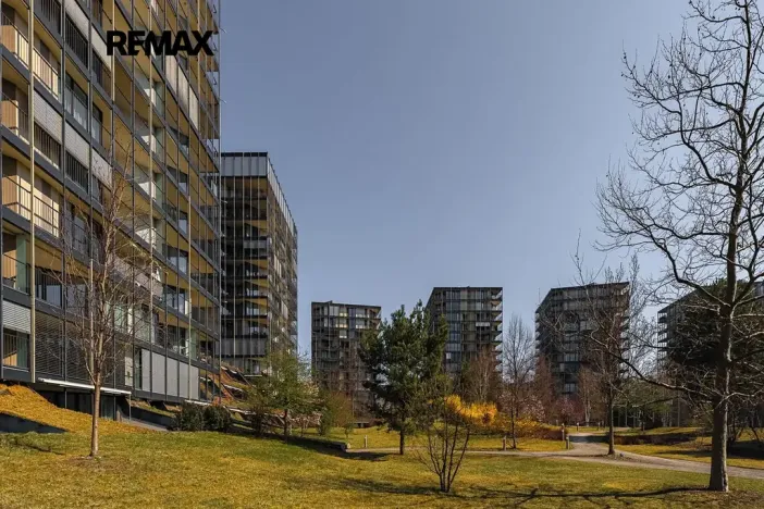 Pronájem bytu 5+kk, Praha - Žižkov, Pitterova, 254 m2