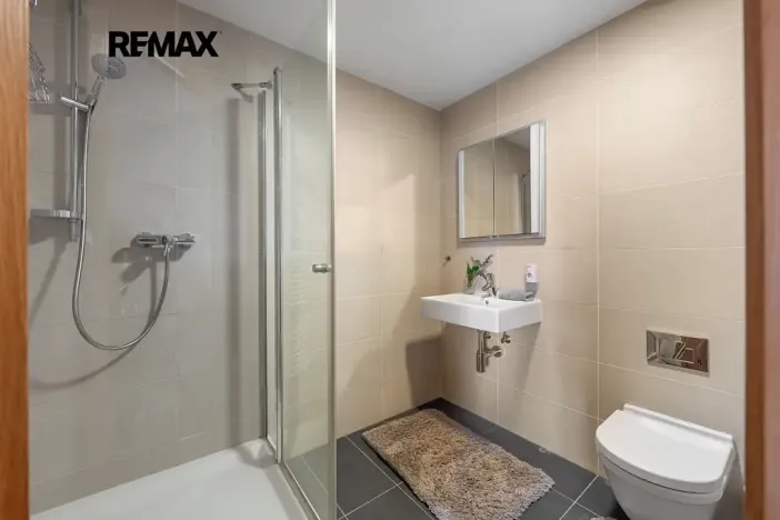 Pronájem bytu 5+kk, Praha - Žižkov, Pitterova, 254 m2