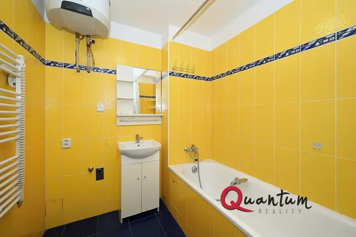 Pronájem bytu 1+kk, Praha - Vinohrady, Fričova, 31 m2