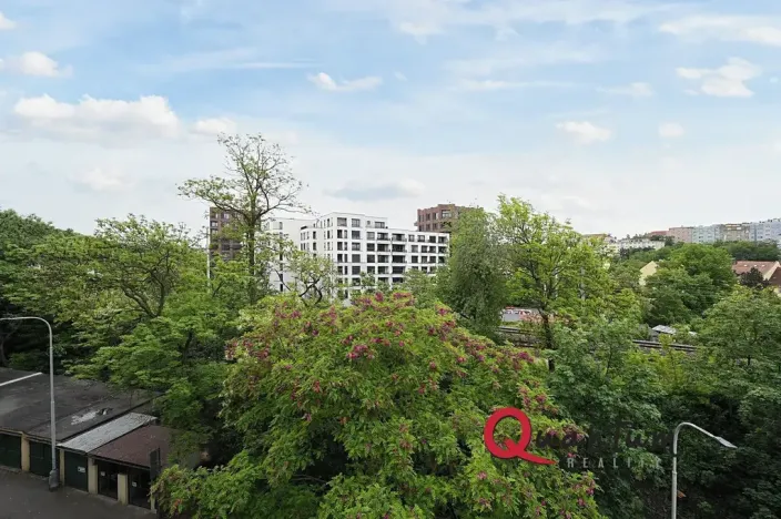 Pronájem bytu 1+kk, Praha - Vinohrady, Fričova, 31 m2
