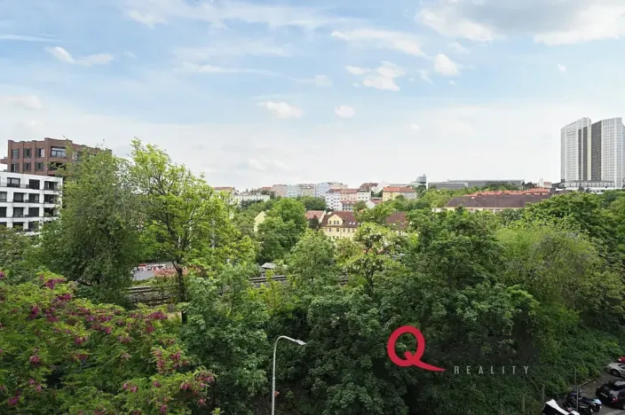 Pronájem bytu 1+kk, Praha - Vinohrady, Fričova, 31 m2