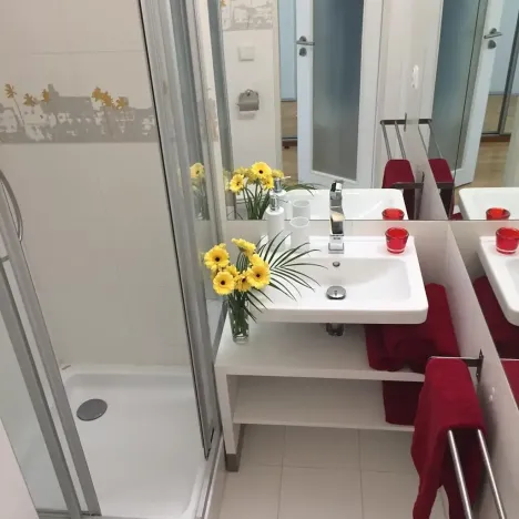 Pronájem bytu 1+kk, Praha - Karlín, Molákova, 36 m2