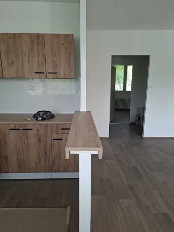 Pronájem bytu 3+1, Teplice, Bohosudovská, 55 m2