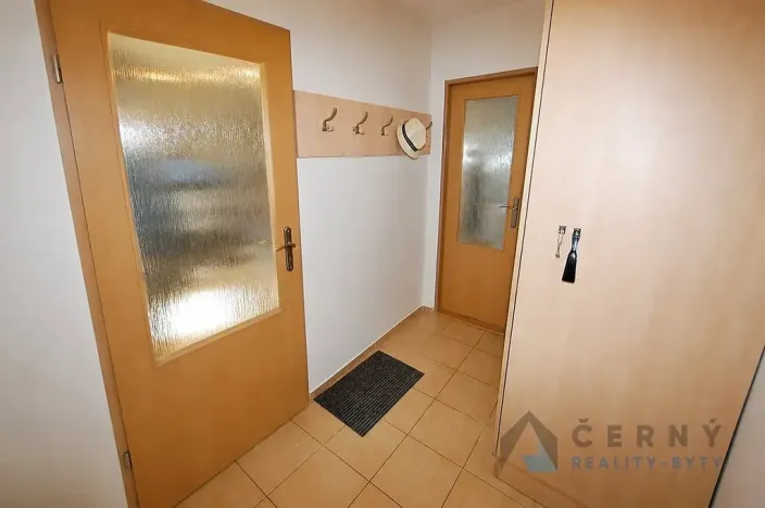 Prodej bytu 1+kk, Liberec, U Sadu, 29 m2