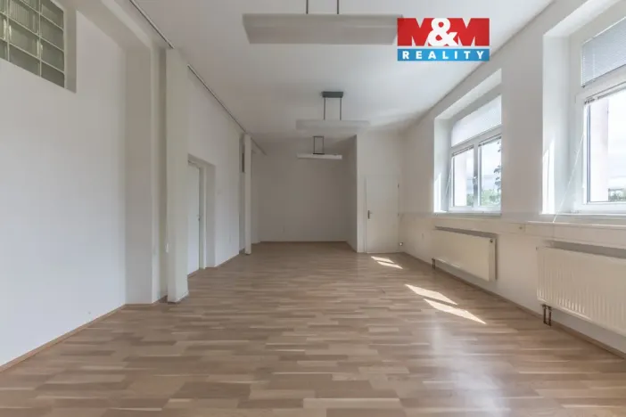 Pronájem kanceláře, Zdiby - Přemyšlení, U Továrny, 57 m2