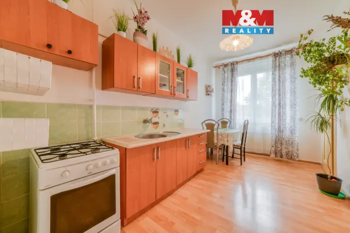 Prodej bytu 1+1, Cheb, Hviezdoslavovo náměstí, 38 m2