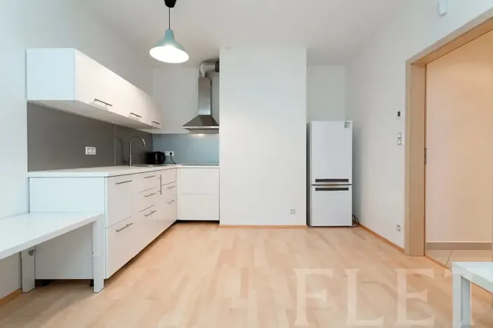 Pronájem bytu 1+kk, Praha - Žižkov, Olšanská, 43 m2