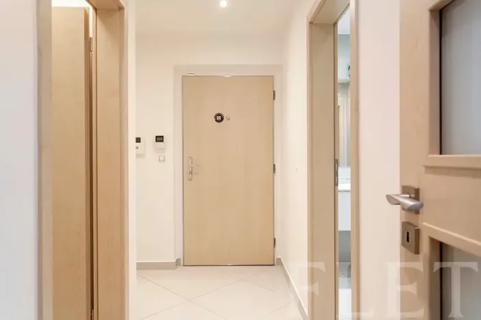 Pronájem bytu 1+kk, Praha - Žižkov, Olšanská, 43 m2