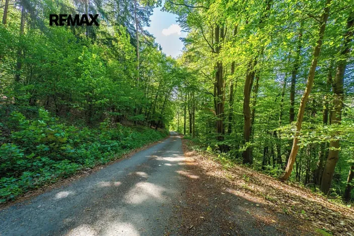 Prodej chaty, Smědčice, 55 m2