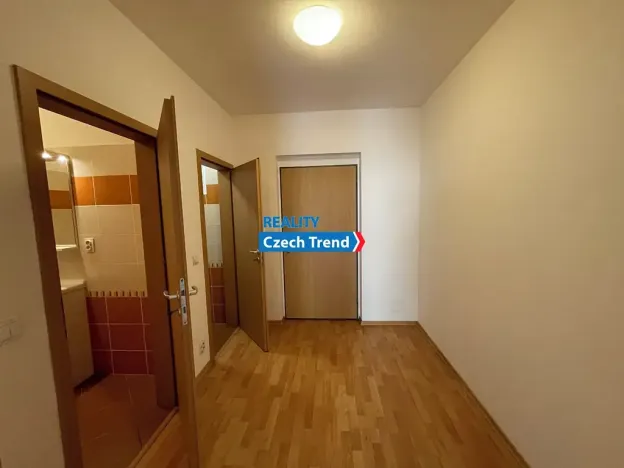 Pronájem bytu 1+kk, Olomouc, Peškova, 47 m2