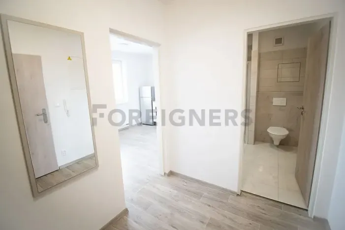 Pronájem bytu 1+kk, Brno, Poděbradova, 29 m2