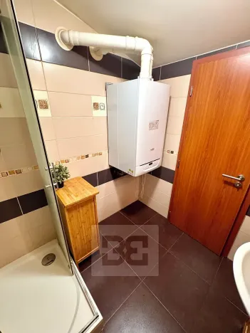 Pronájem bytu 3+kk, Praha - Žižkov, Biskupcova, 96 m2