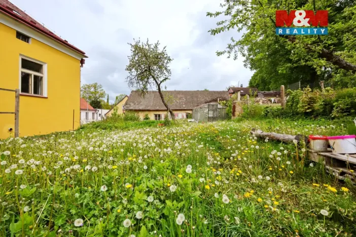 Prodej rodinného domu, Černovice, Táborská, 330 m2