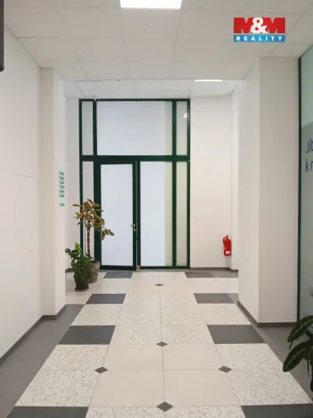 Prodej obchodního prostoru, Opava - Město, Masarykova třída, 160 m2