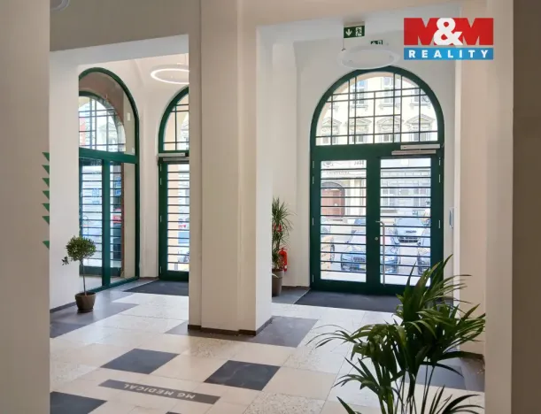 Prodej obchodního prostoru, Opava - Město, Masarykova třída, 100 m2