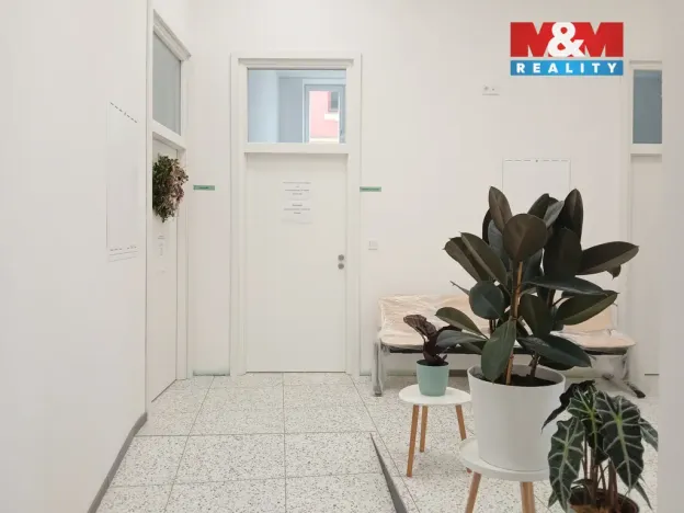 Prodej obchodního prostoru, Opava - Město, Masarykova třída, 30 m2