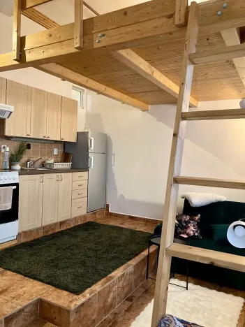 Pronájem bytu 1+kk, Praha - Košíře, Vrchlického, 23 m2
