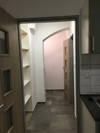 Pronájem bytu 1+kk, Brno, Křenová, 20 m2