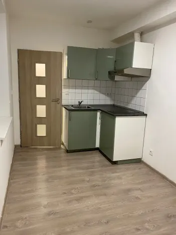 Pronájem bytu 1+kk, Brno, Křenová, 20 m2