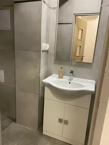 Pronájem bytu 1+kk, Brno, Křenová, 20 m2