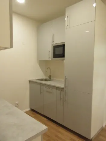 Pronájem bytu 2+kk, Praha - Žižkov, Lucemburská, 40 m2