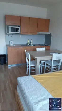 Prodej bytu 1+kk, Brno, Božetěchova, 23 m2