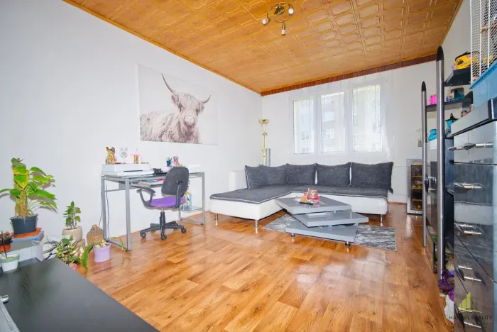 Prodej bytu 2+1, Zbiroh, Majerové, 57 m2