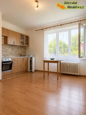 Pronájem bytu 1+kk, Ostrava, Krakovská, 27 m2
