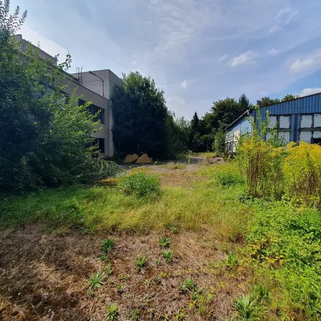 Prodej komerčního pozemku, Tišnov, Červený Mlýn, 6493 m2