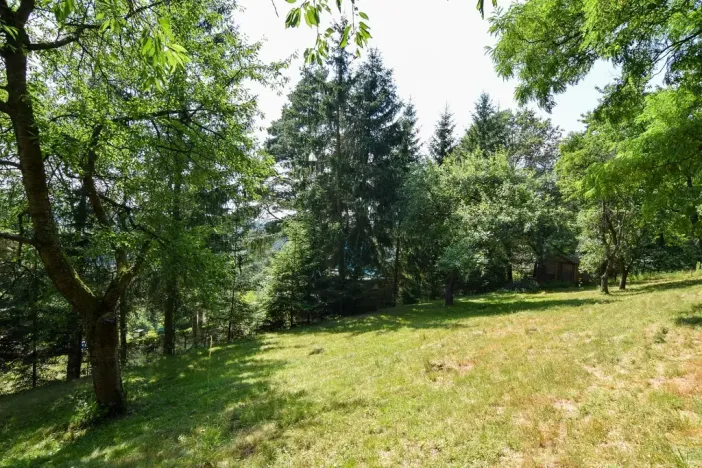 Prodej zahrady, Stříbrná Skalice, 1015 m2