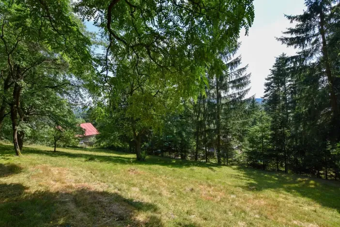 Prodej zahrady, Stříbrná Skalice, 1015 m2