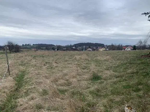 Dražba louky, Nový Oldřichov, 1549 m2