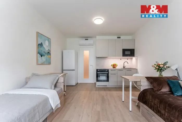 Prodej bytu 1+kk, Praha - Žižkov, Tetauerova, 33 m2