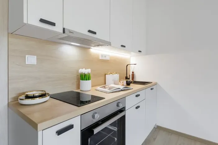 Pronájem bytu 1+kk, Slaný, Lázeňská, 33 m2