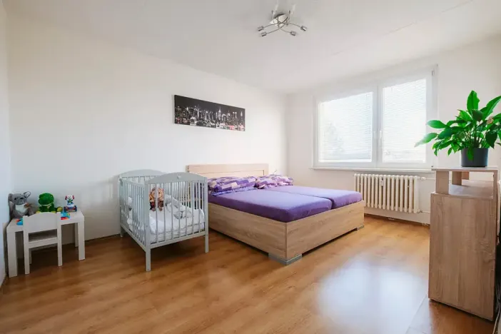 Pronájem bytu 2+1, Třebíč, Fr. Hrubína, 54 m2