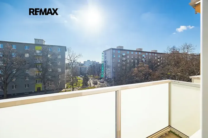 Prodej bytu 2+1, Praha - Žižkov, Pod lipami, 53 m2