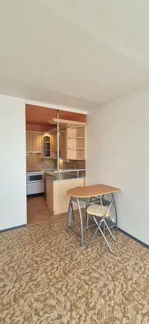 Pronájem bytu 2+kk, Mladá Boleslav, Jana Palacha, 45 m2