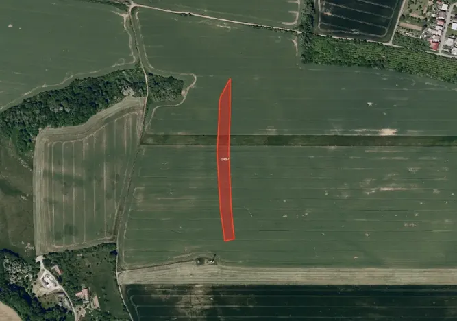 Prodej pole, Osvětimany, 4331 m2