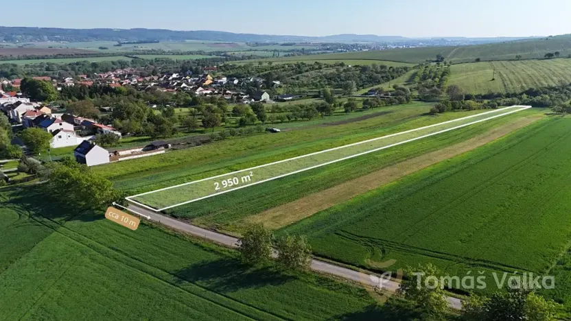 Prodej pole, Velešovice, 2950 m2