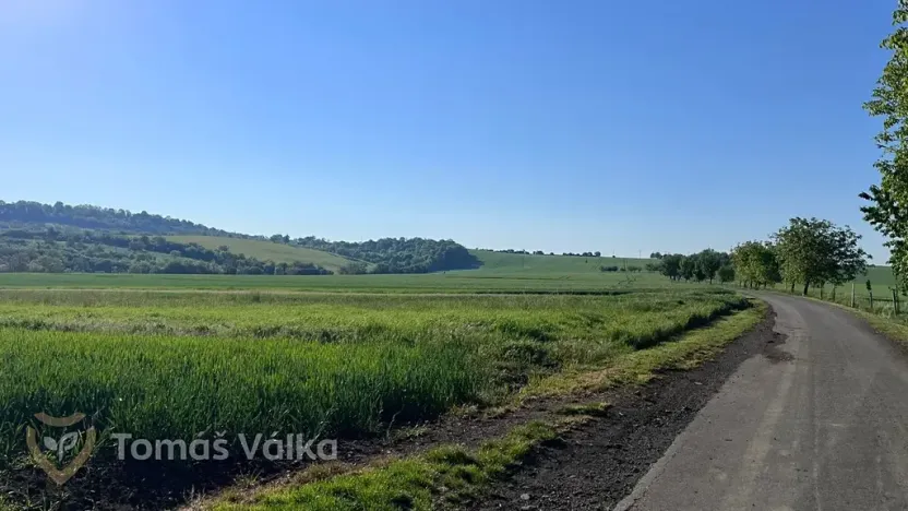 Prodej pole, Velešovice, 2950 m2